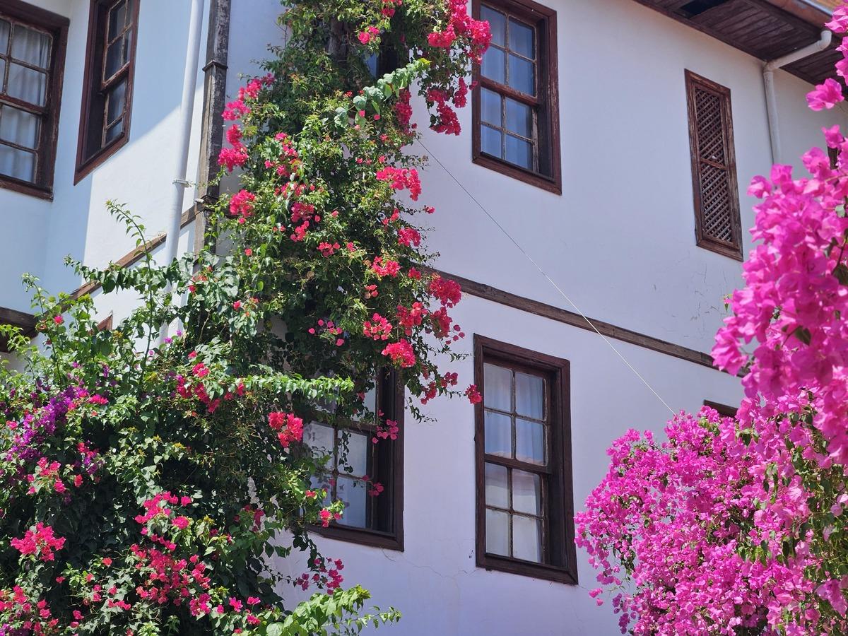 Kasımda 120 bin kişi bekleniyor Hepimiz sattık, kapalı gişeyiz 2