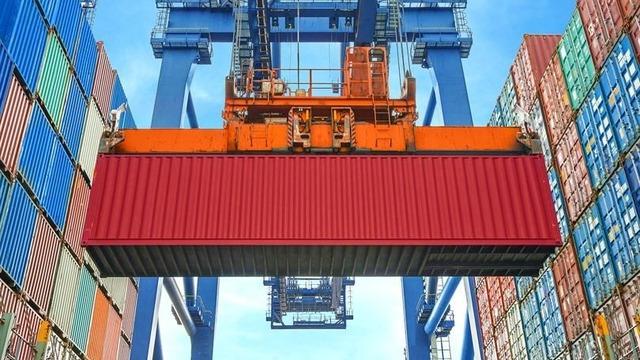 Düzce’den 4 bin 135 ton orman ürünü ihraç edildi
