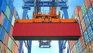 D&uuml;zce'nin orman &uuml;r&uuml;nleri ihracatı ilk yarıda 4 bin 135 tona ulaştı