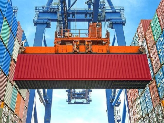 D&uuml;zce'nin orman &uuml;r&uuml;nleri ihracatı ilk yarıda 4 bin 135 tona ulaştı