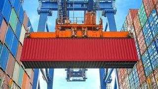 Düzce'nin orman ürünleri ihracatı ilk yarıda 4 bin 135 tona ulaştı