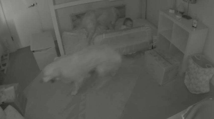 15 aylık bebek yatağından kaçtı, yöntemi dudak ısırttı