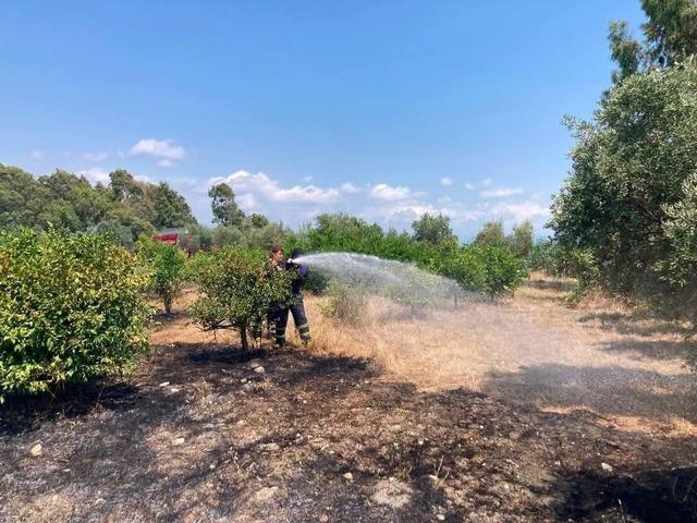 D&ouml;rtyol&rsquo;da bah&ccedil;e yangını 2