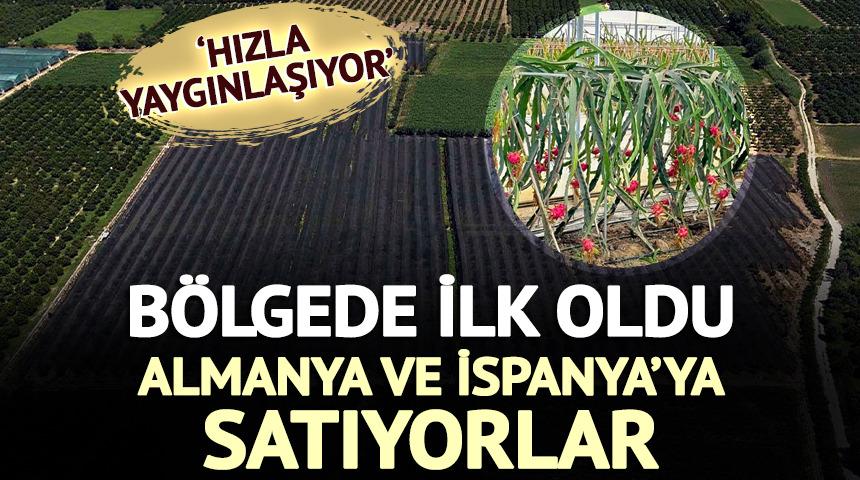B&ouml;lgede ilk oldu: Almanya ve İspanya'ya satıyorlar 'Hızla yaygınlaşıyor'