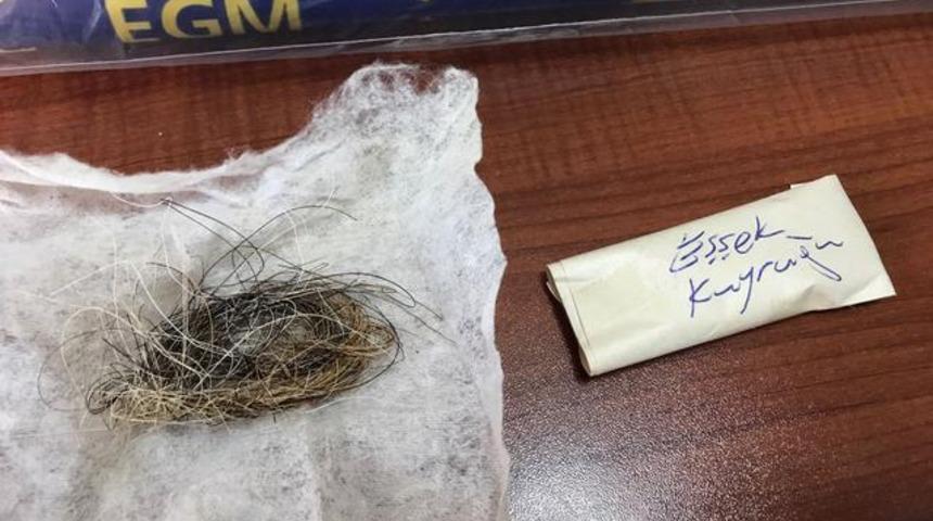 Cinci hocanın evinden çıkanlar şoke etti!