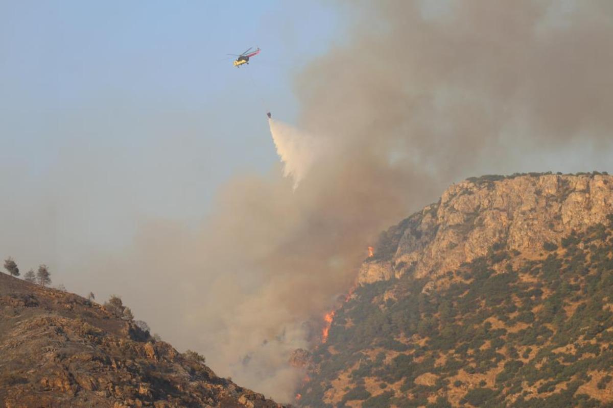 D&uuml;nyaca &uuml;nl&uuml; Pamukkale travertenlerin yakınındaki ormanlık alanda yangın 7