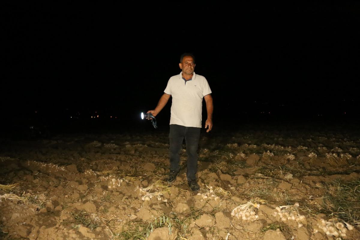 Beyaz altın için sabaha kadar nöbet: Gelip satın alacaklar 1