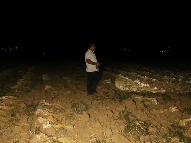 'Beyaz altın' i&ccedil;in sabaha kadar n&ouml;bet: Gelip satın alacaklar