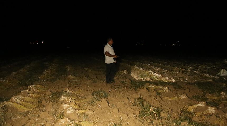 'Beyaz altın' i&ccedil;in sabaha kadar n&ouml;bet: Gelip satın alacaklar