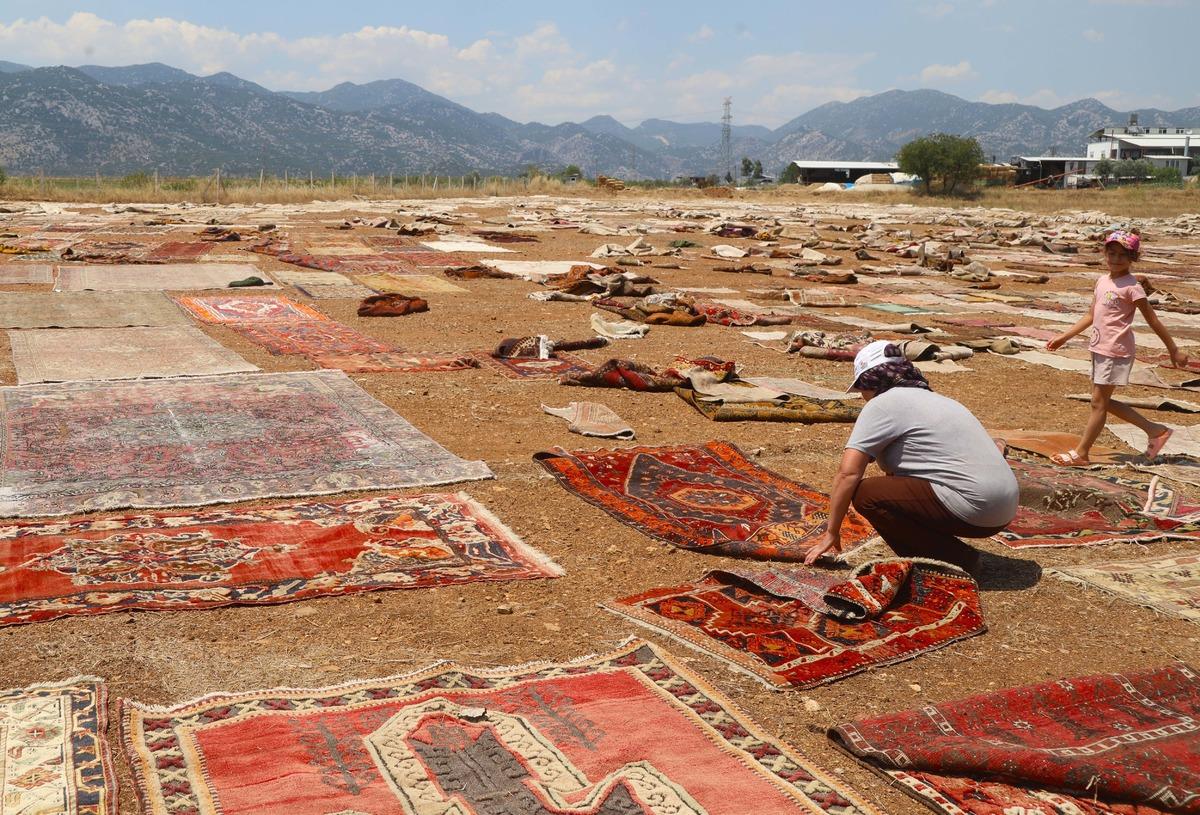 130 bin metrekare ile Türkiye de 3. olmuştu: Güneşte değerleri artıyor! 2