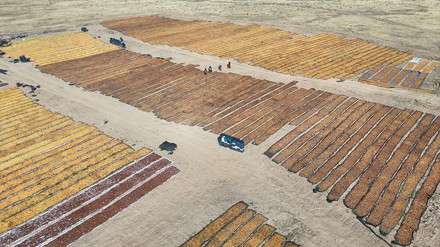 Dünya onları bekliyor: 100'den fazla kişi çalışıyor