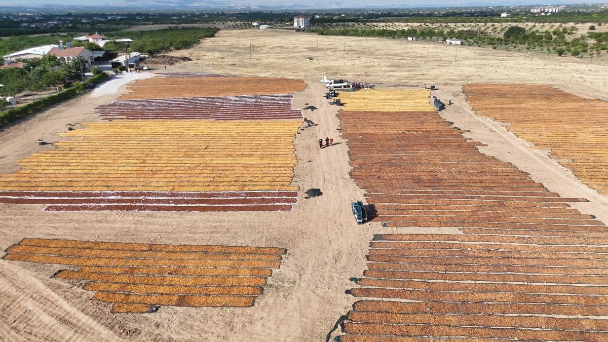 D&uuml;nya onları bekliyor: 100 den fazla kişi &ccedil;alışıyor 1