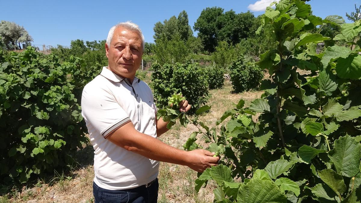 "Bozkırda yetişmez" diyenlere aldırış etmedi: 10 kilo ürün elde etti 1