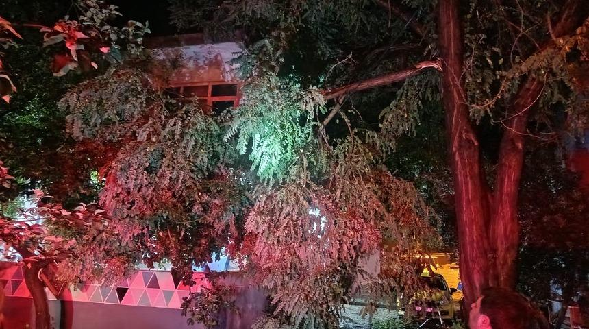 Erdek'i fırtına ve dolu vurdu: Ağa&ccedil;lar devrildi, &ccedil;atılar u&ccedil;tu