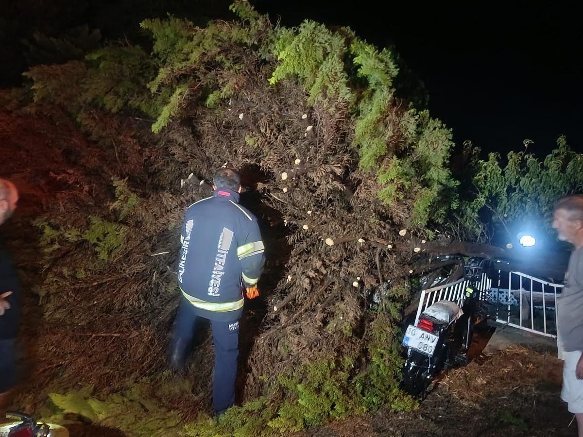 Erdek i fırtına ve dolu vurdu: Ağaçlar devrildi, çatılar uçtu 4
