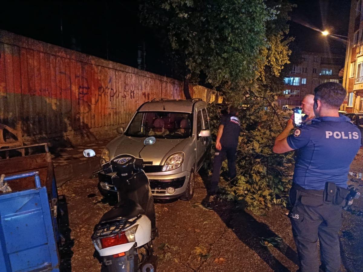 Erdek i fırtına ve dolu vurdu: Ağaçlar devrildi, çatılar uçtu 2