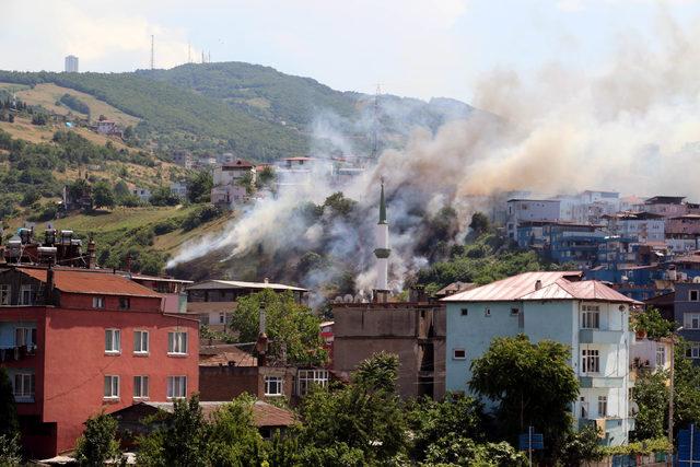 Evlere yakın ağaçlık alanda çıkan yangın korkuttu