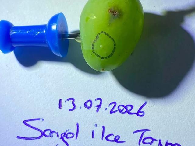 &Uuml;reticilere kritik uyarı: 14, 15, 16 Temmuz'da...