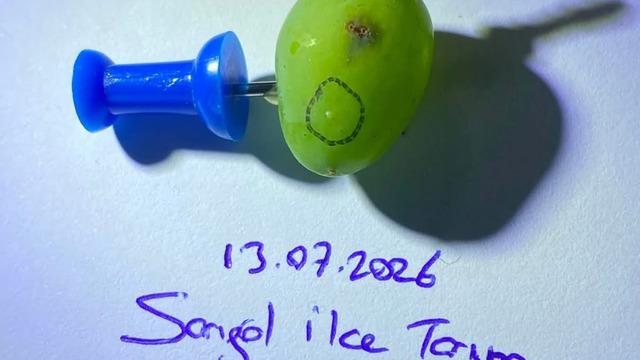 Üreticilere uyarı: 14, 15, 16 Temmuz'da... Ekonomik kayba neden oluyor