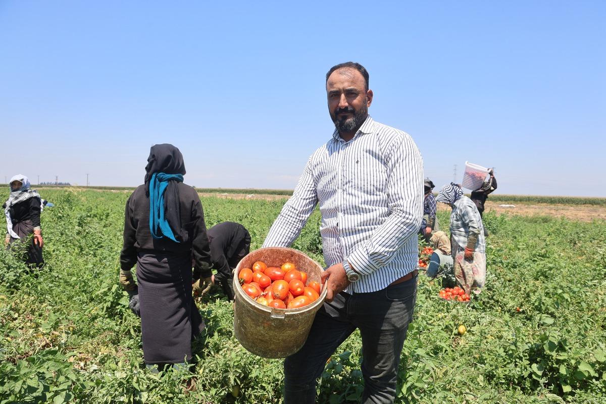 Arabaların biri gidiyor biri geliyor: 1100 TL ye yapıyorlar 5