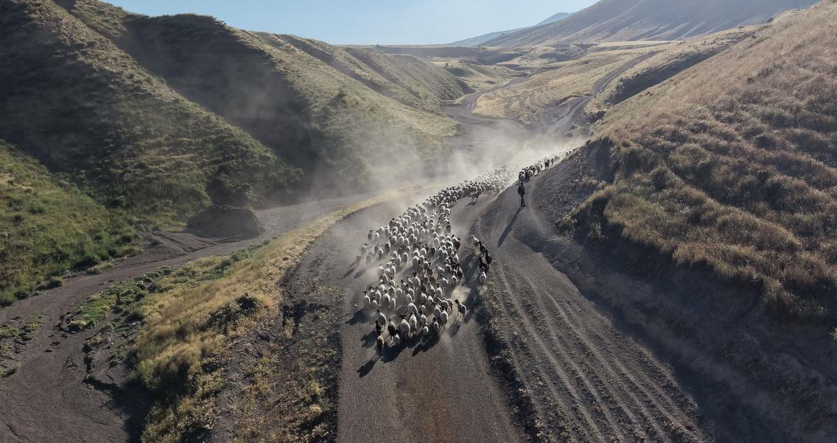 Her gün Nemrut a tırmanıyorlar! Yayladan öyle bir geçiyorlar ki göz gözü görmüyor 1