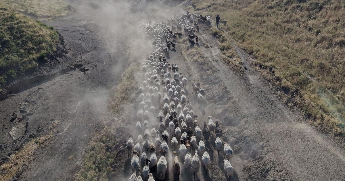 Her gün Nemrut a tırmanıyorlar! Yayladan öyle bir geçiyorlar ki göz gözü görmüyor 3