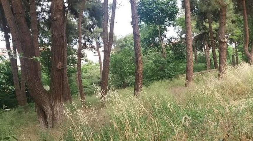 Hastane bahçesinde toprağa gömülü cenin bulundu!