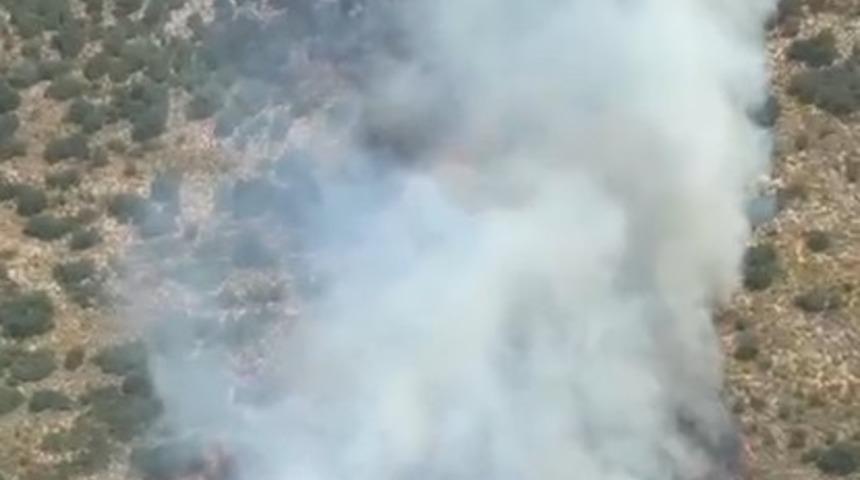 Demre&rsquo;de orman yangını
