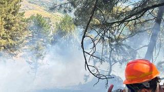 Saimbeyli’de çıkan orman yangını kontrol altına alındı