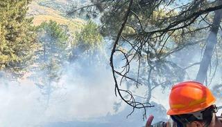 Saimbeyli&rsquo;de &ccedil;ıkan orman yangını kontrol altına alındı
