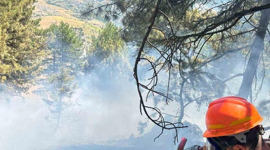 Saimbeyli&rsquo;de &ccedil;ıkan orman yangını kontrol altına alındı