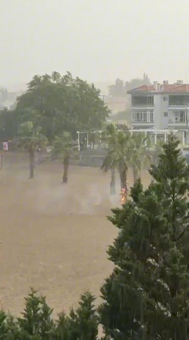 Tekirdağ&rsquo;da palmiye ağacına yıldırım d&uuml;şt&uuml;, alev alev yandı 1