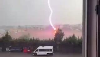 Tekirdağ&rsquo;da palmiye ağacına yıldırım d&uuml;şt&uuml;, alev alev yandı