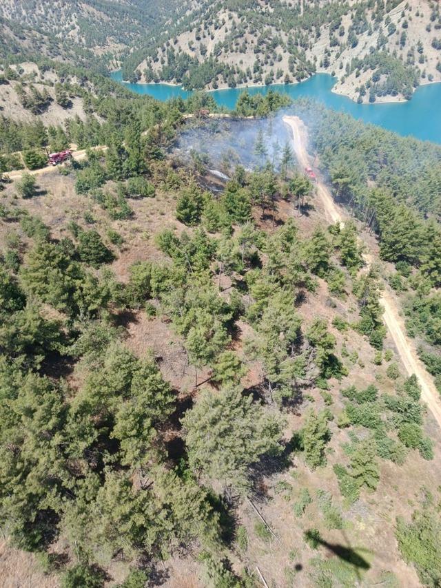 Kahramanmaraş’ta orman yangını 1