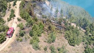 Son dakika: Kahramanmaraş&rsquo;ta orman yangını