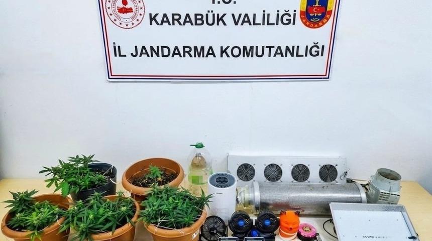 Karab&uuml;k&rsquo;te uyuşturucu operasyonu: Skunk serası ortaya &ccedil;ıkarıldı