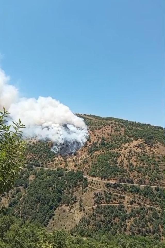 Sultanhisar&rsquo;da makilik ve orman yangını 1