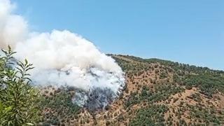 Sultanhisar’da makilik ve orman yangını