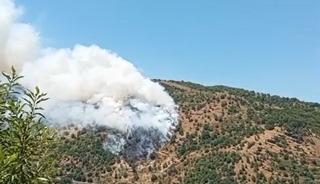 Sultanhisar&rsquo;da makilik ve orman yangını