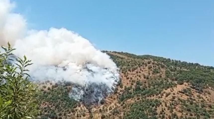 Sultanhisar&rsquo;da makilik ve orman yangını