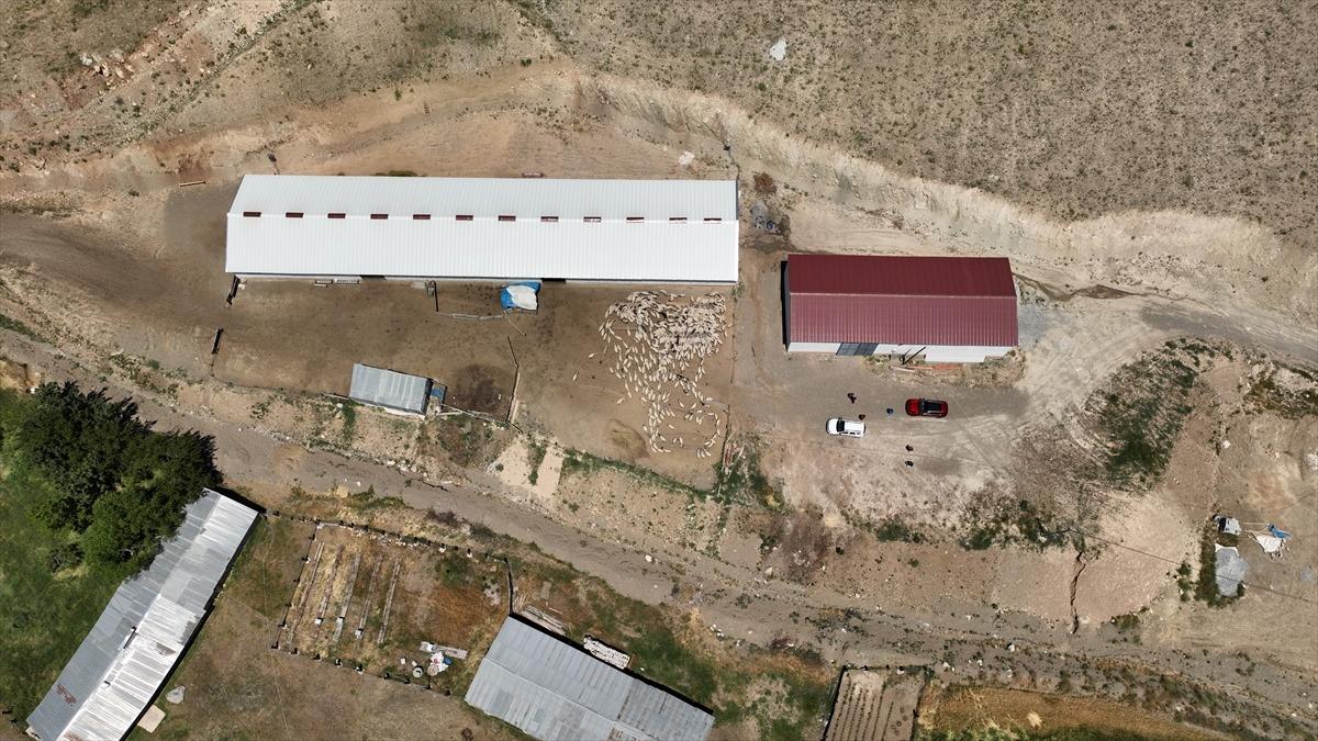 3 milyon 650 bin TL aldı, tesis kurup işi büyüttü Refahımız yükseldi 1