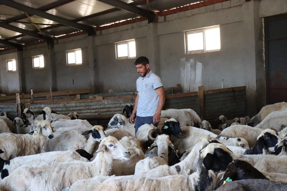 3 milyon 650 bin TL aldı, tesis kurup işi büyüttü Refahımız yükseldi 3