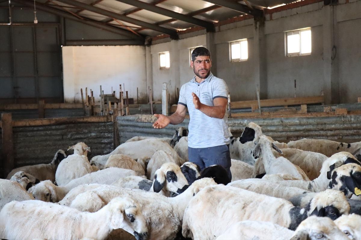 3 milyon 650 bin TL aldı, tesis kurup işi büyüttü Refahımız yükseldi 5
