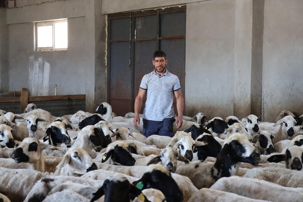 3 milyon 650 bin TL aldı, tesis kurup işi büyüttü Refahımız yükseldi 6