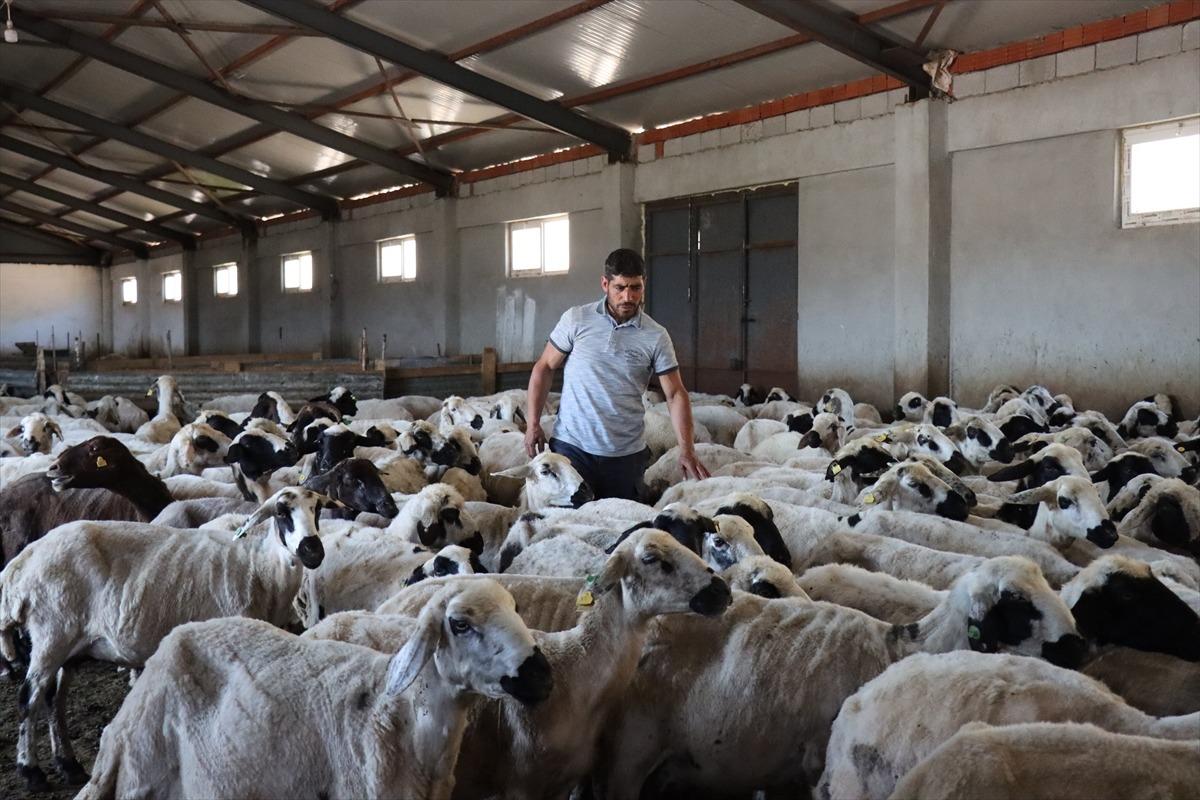 3 milyon 650 bin TL aldı, tesis kurup işi büyüttü Refahımız yükseldi 7