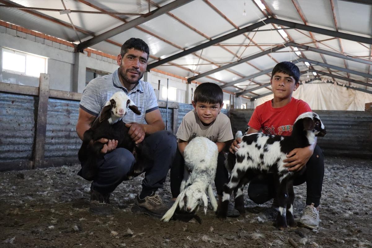 3 milyon 650 bin TL aldı, tesis kurup işi büyüttü Refahımız yükseldi 8
