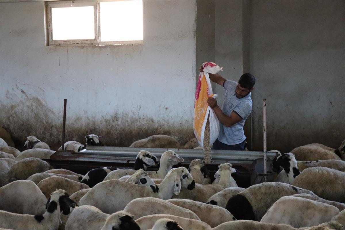 3 milyon 650 bin TL aldı, tesis kurup işi büyüttü Refahımız yükseldi 10