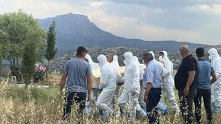 Son dakika: Bir ısırıkla başı d&ouml;nd&uuml;, iştahtan kesildi... 15 g&uuml;n sonra hayatını kaybetti