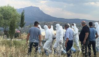 Bir ısırıkla başı d&ouml;nd&uuml;, iştahtan kesildi... 15 g&uuml;n sonra hayatını kaybetti