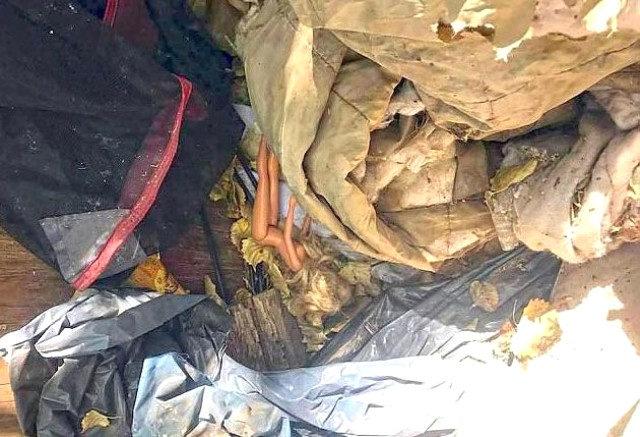 Pedofili kampı bulundu! Çocuklara burada cehennemi yaşattılar 3